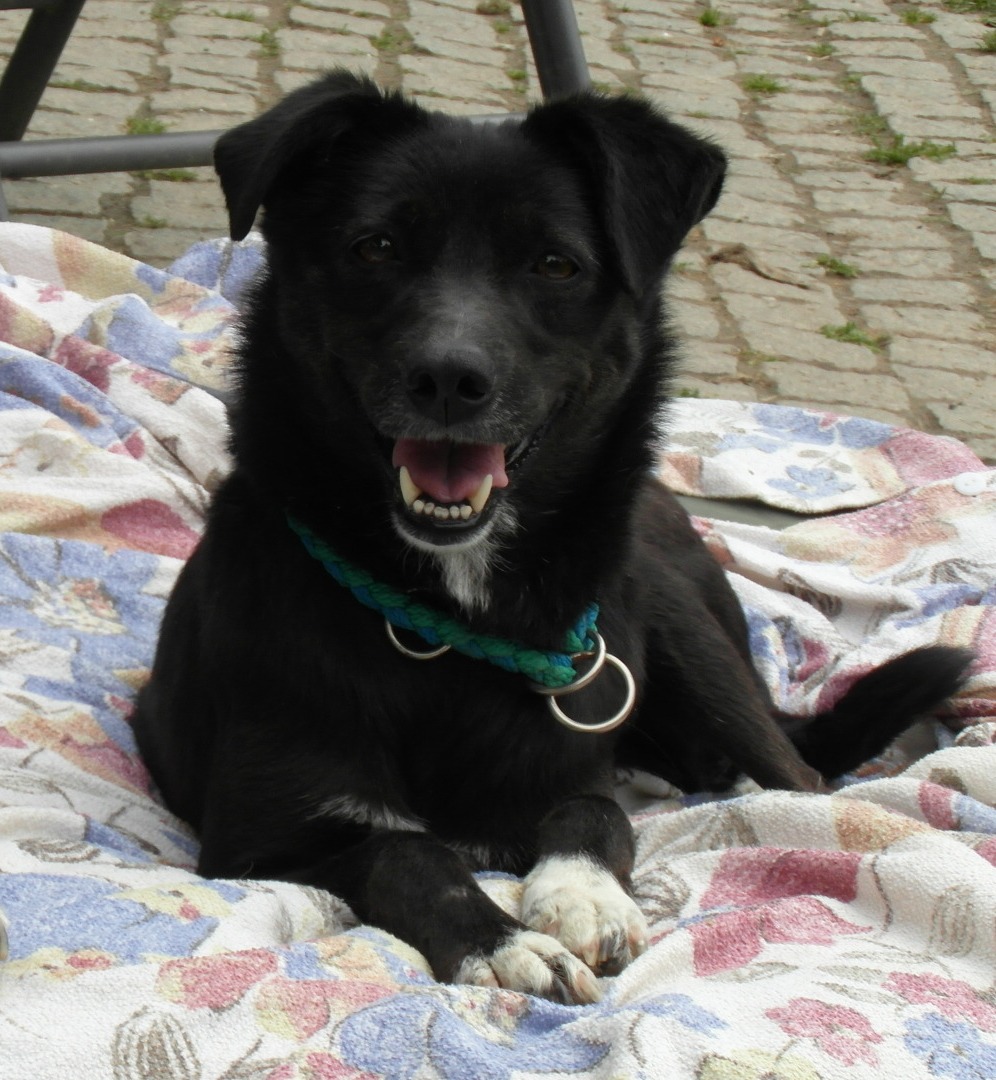 Coco11.JPG (996 x 1080)